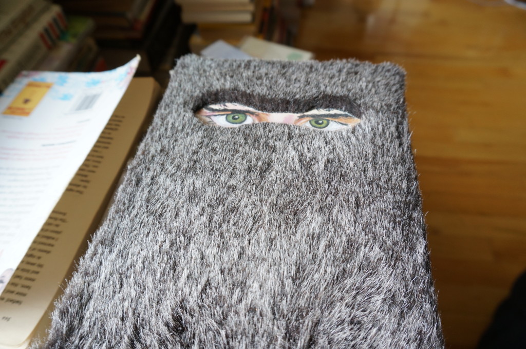 This is my furry copy of Eggers' novel, The Wild Things-- inspired by Maurice Sendak's original.