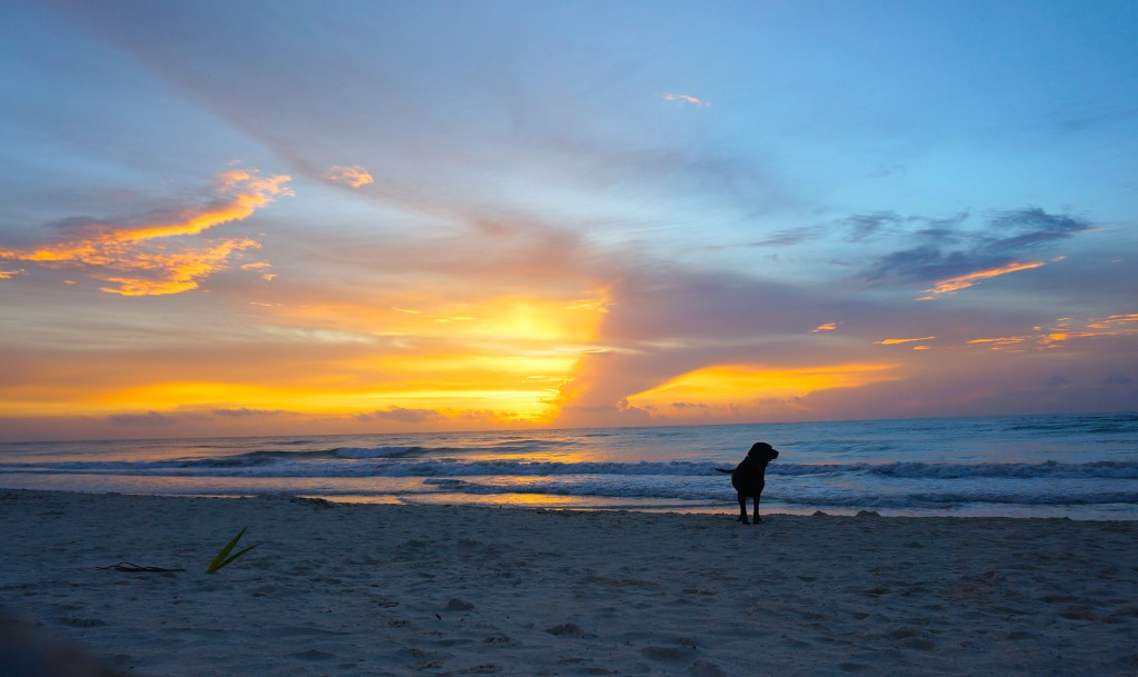 tulum sunrise mexico best top attraction