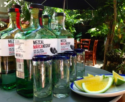 Artisan Mexican Mezcal and a Tasty Worm best mexican mezcal souvenir