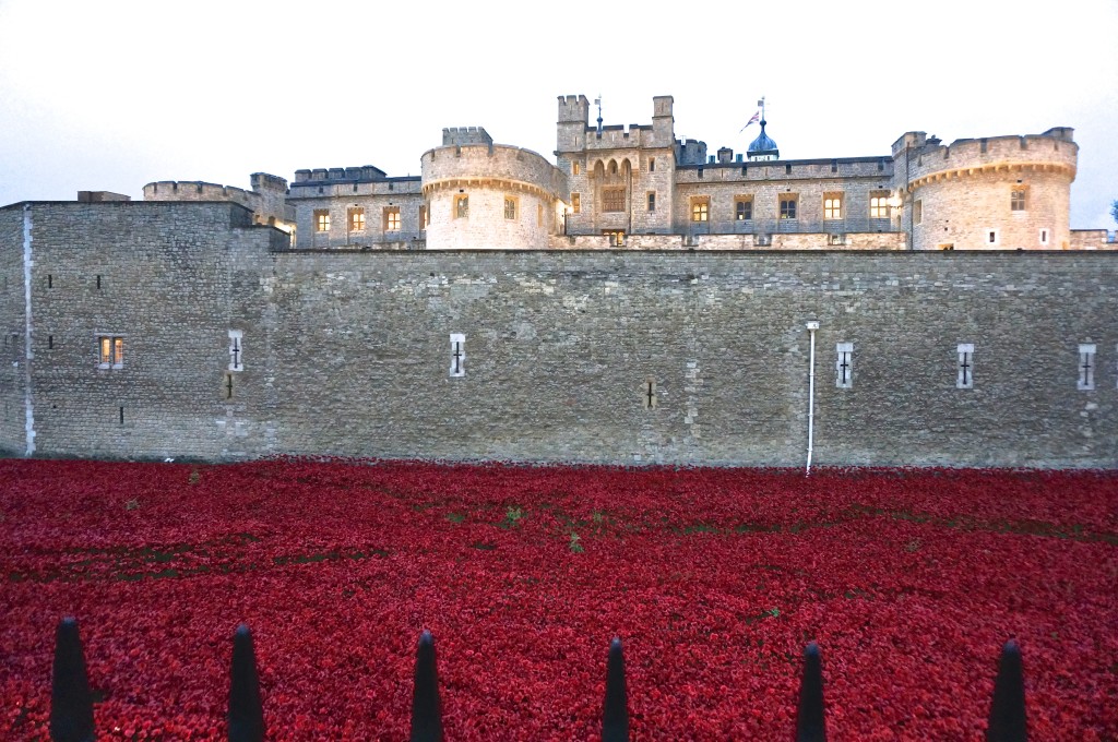 red poppy display tower of london