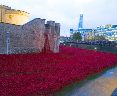 A Red Poppy Souvenir in Honor of Remembrance Day in England red poppy completion tower london final