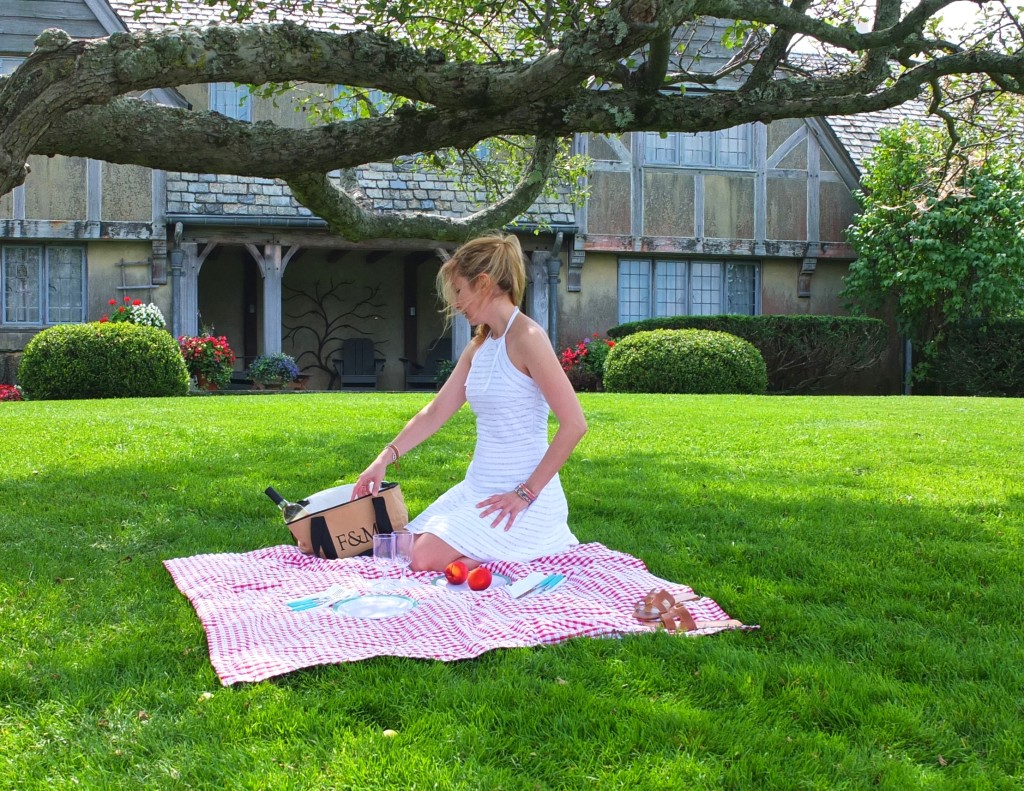 picnic in park topsmead souvenirfinder.com