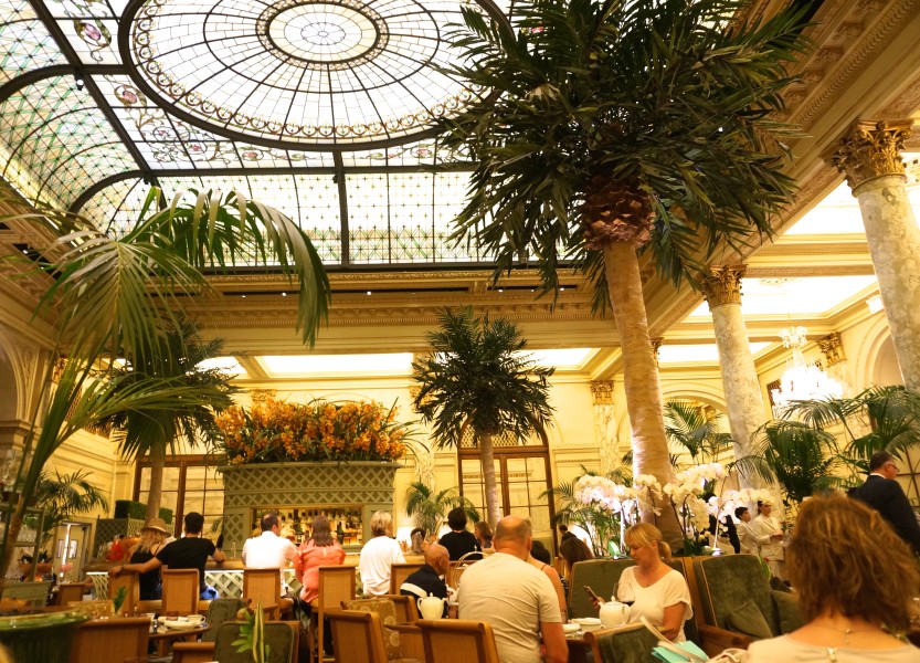 palm court trees plaza hotel