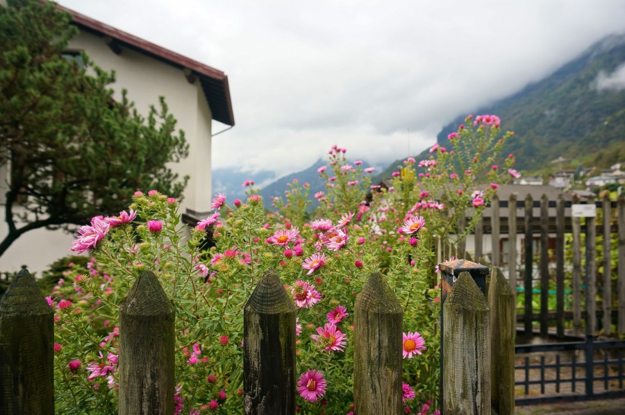 DSC05253