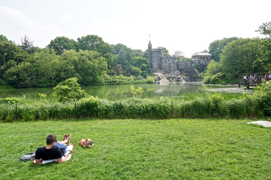 dog friendly central park turtle pond