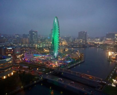 The Best Japanese Experiences and Souvenirs (Part II) dsc00670