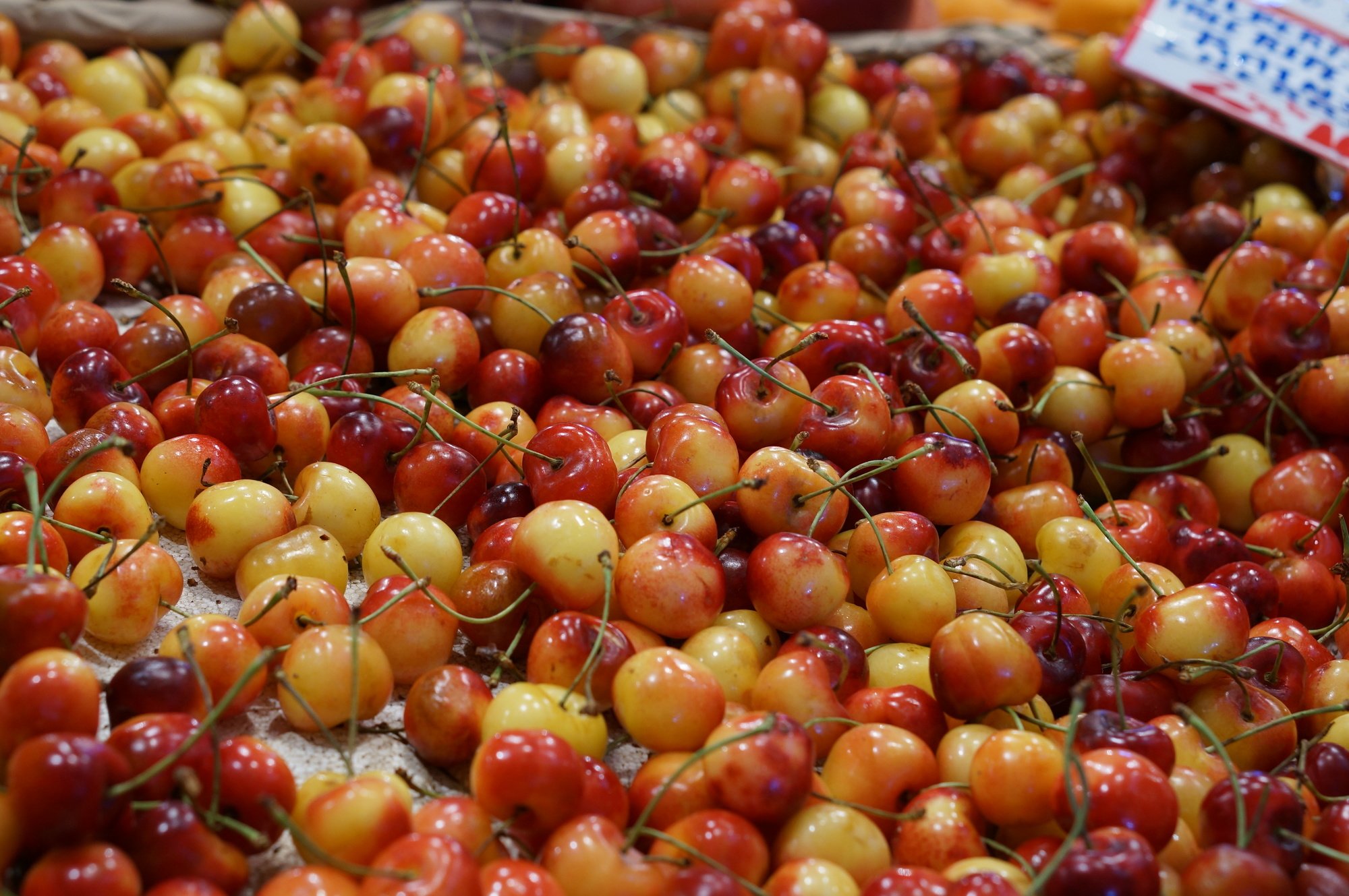 Top Nine Souvenirs from Seattle Souvenir Finder