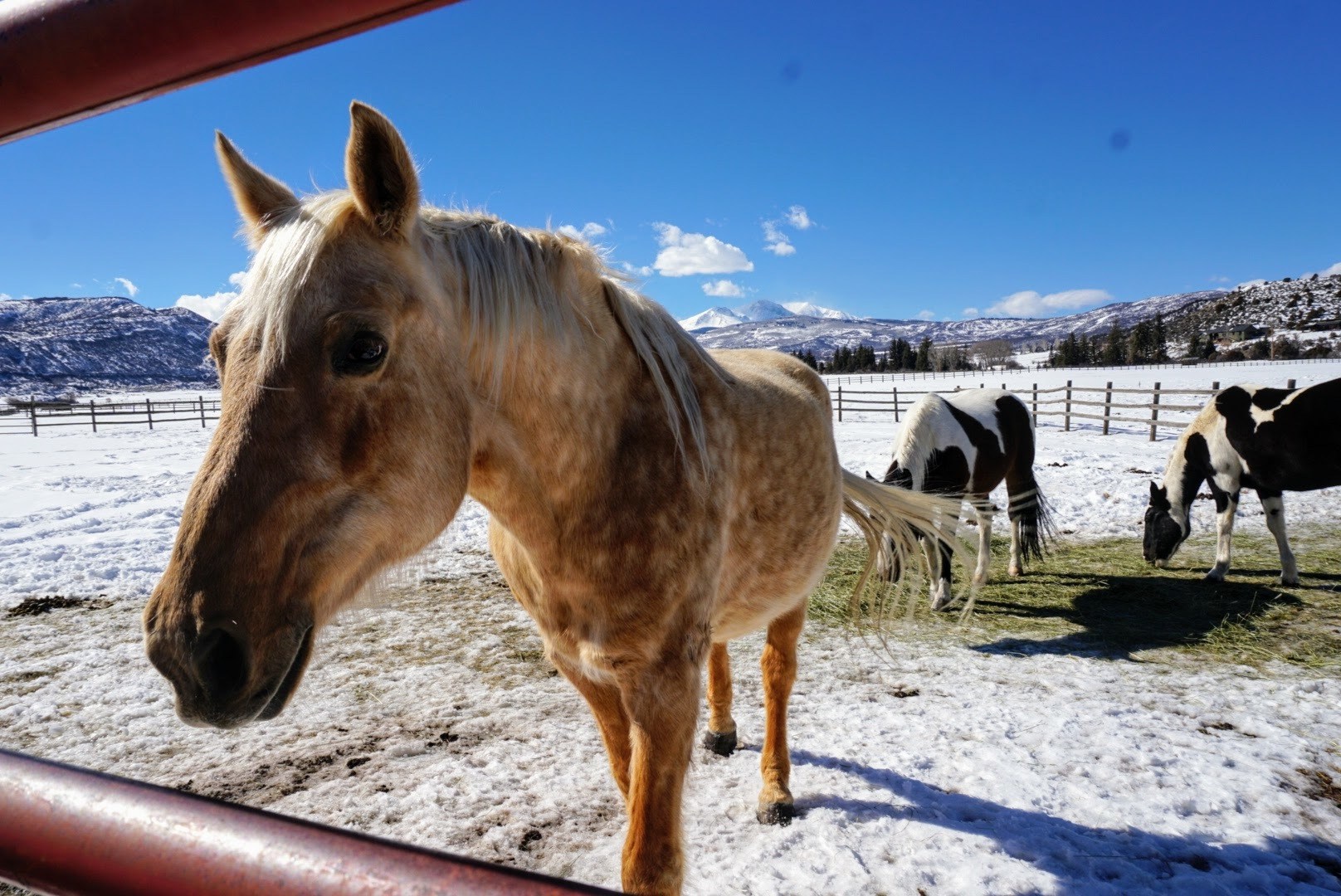 aspen snowmass ranch
