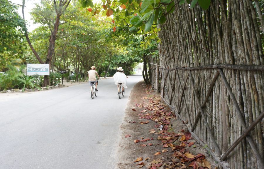 beach road tulum bicycle