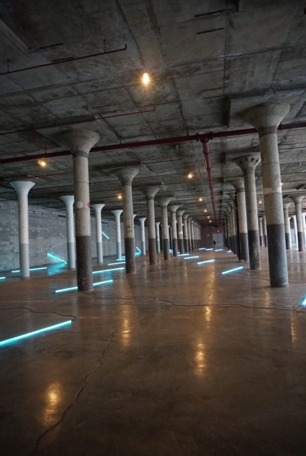 No End Neon, Francis Morellet (DIA Beacon).