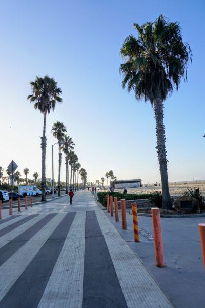 palm trees santa monica